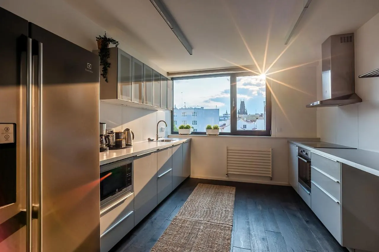 公寓 布拉格5Br+2Bath Old Town Industrial Penthouse, A/C公寓